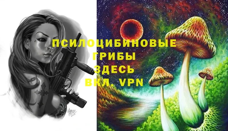 Галлюциногенные грибы MAGIC MUSHROOMS  Рыбное 